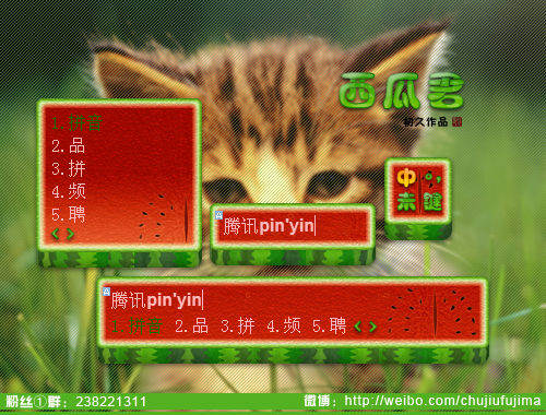皮肤预览