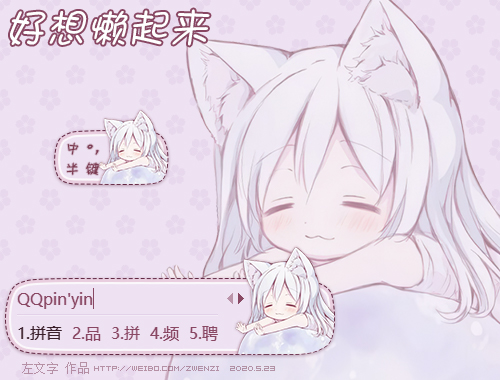 皮肤预览