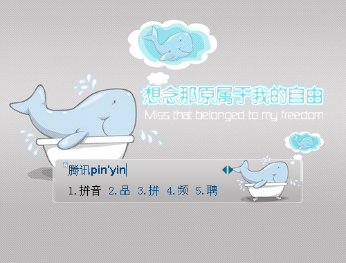 皮肤预览