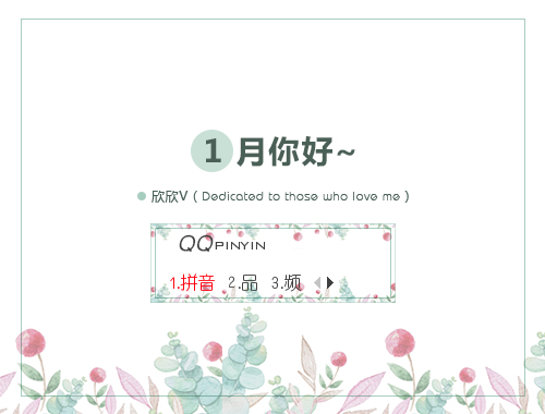 皮肤预览