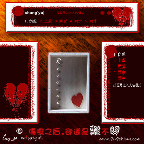 皮肤预览