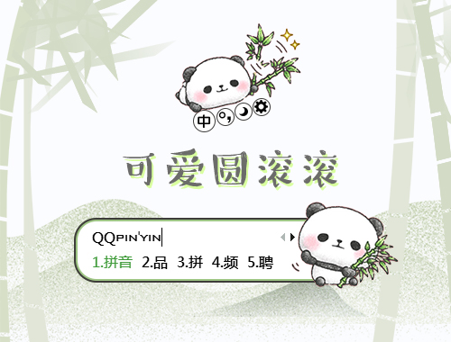 皮肤预览